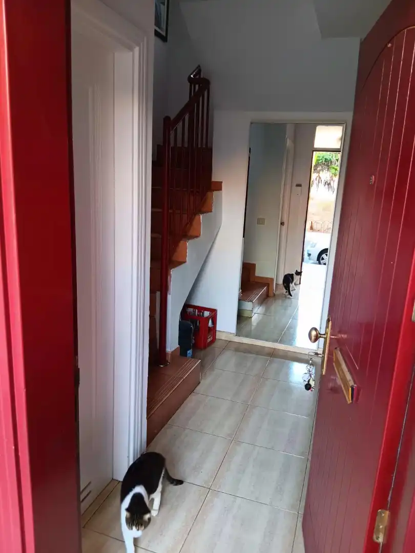 Detached homes for sale in Mogán  with Furnished