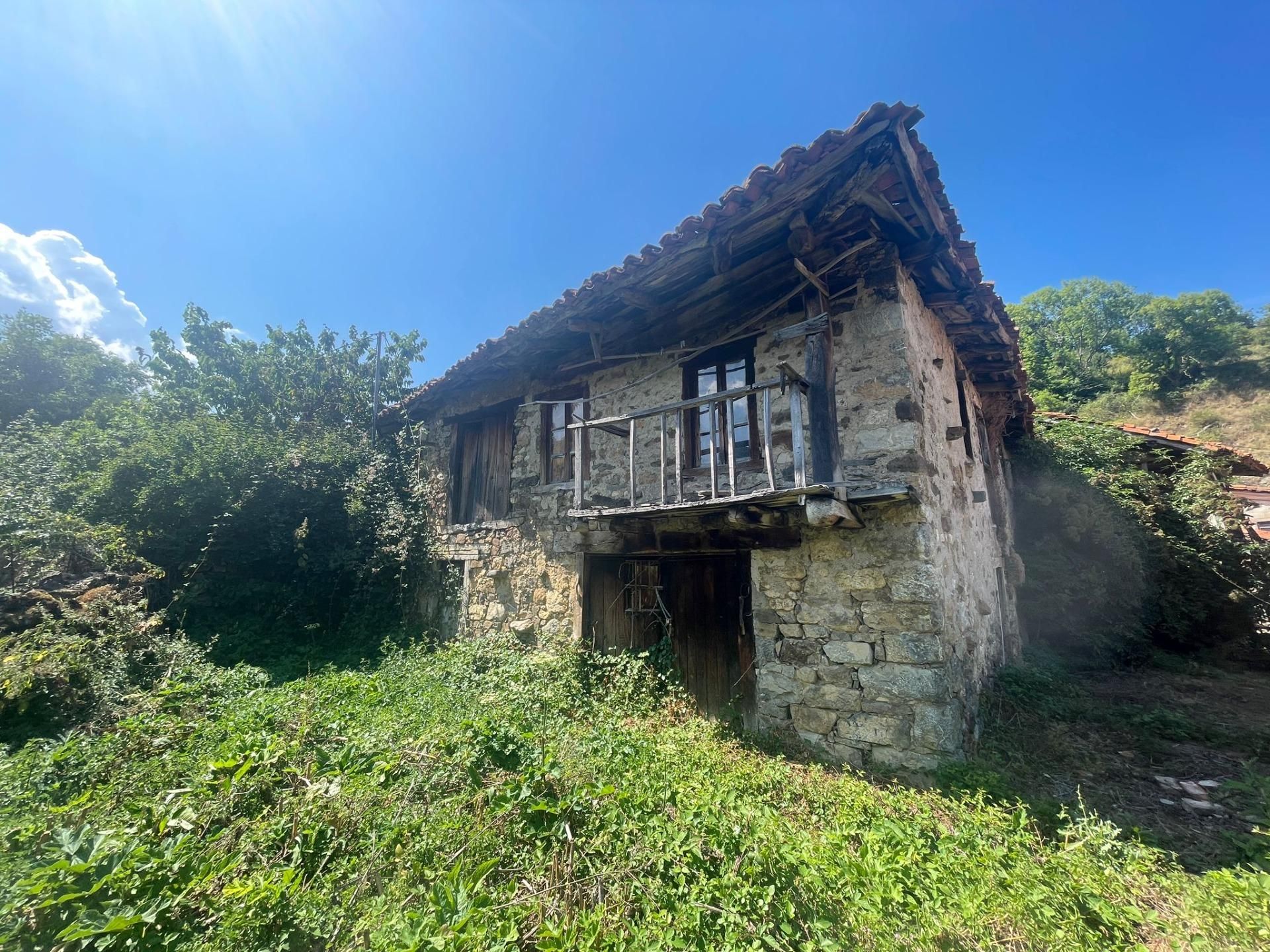 Vista exterior de Casa o xalet en venda en Pesaguero