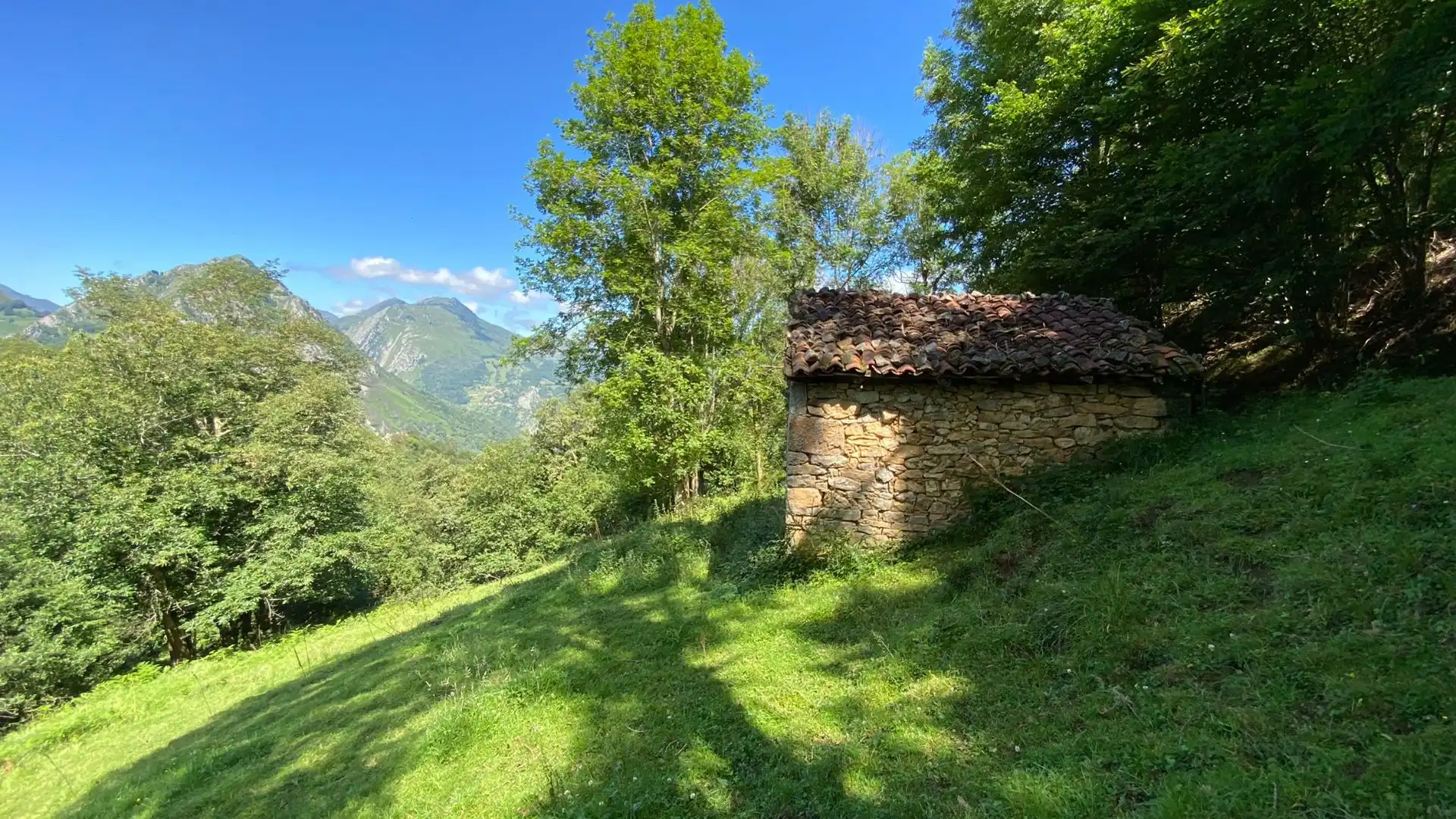 Terreno en venta en PRIESCA, Ponga