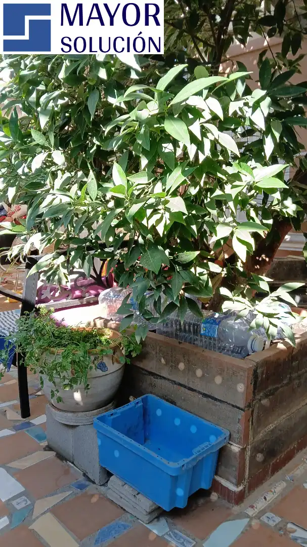 Jardín de Piso en venta en Ullà con Jardín privado, Terraza y Amueblado