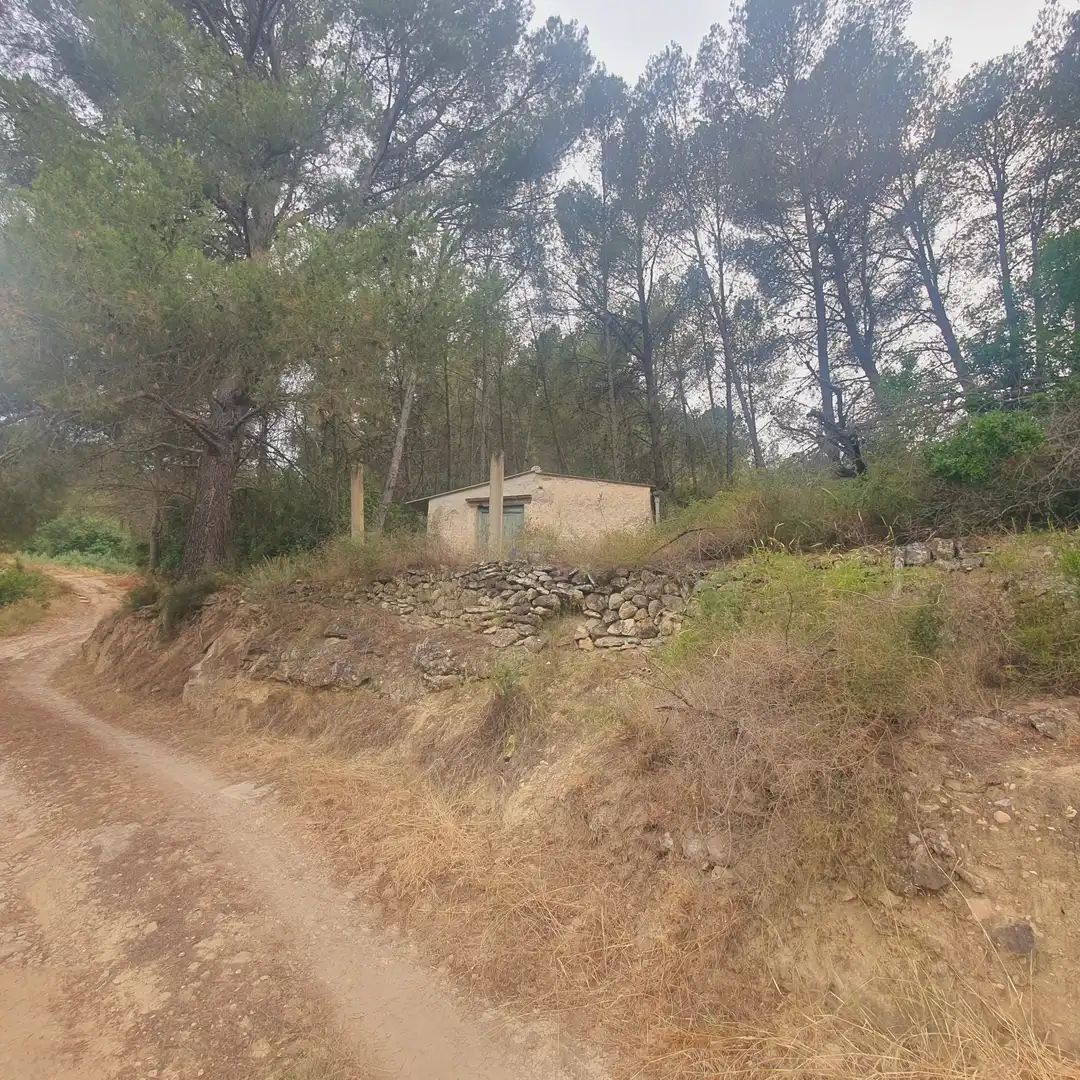Terreno rústico en venta en Benifallet, imagen 12
