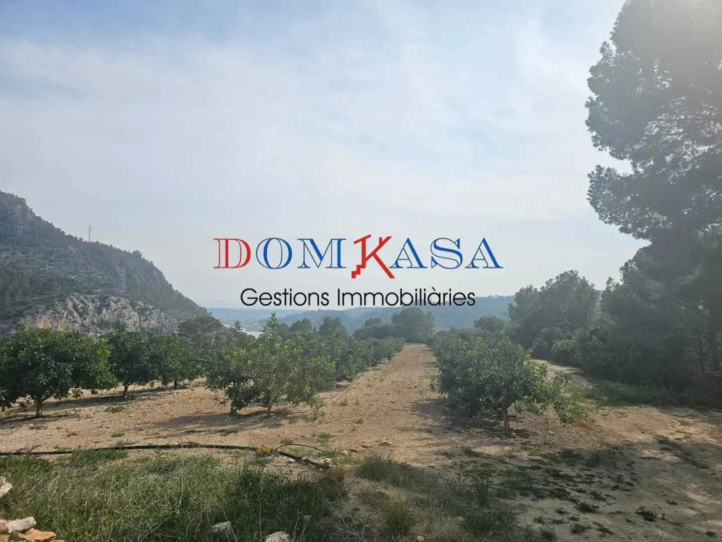 Industrial buildings for sale in Xerta