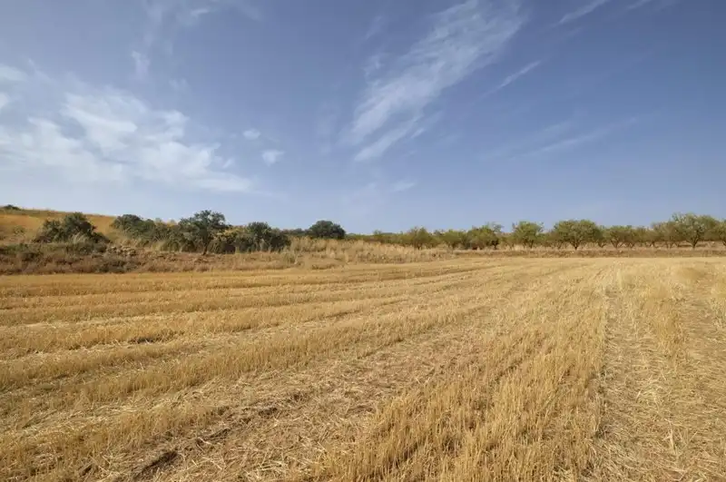 Terreni e lotti in vendita a Padul, imagen 15