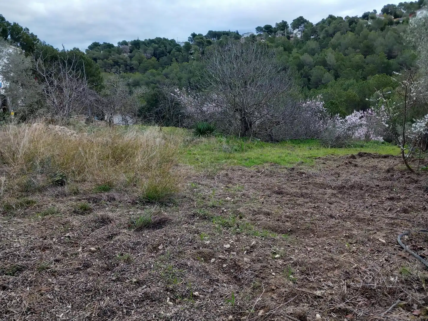 Residential land for sale in Torrelles de Foix, imagen 3
