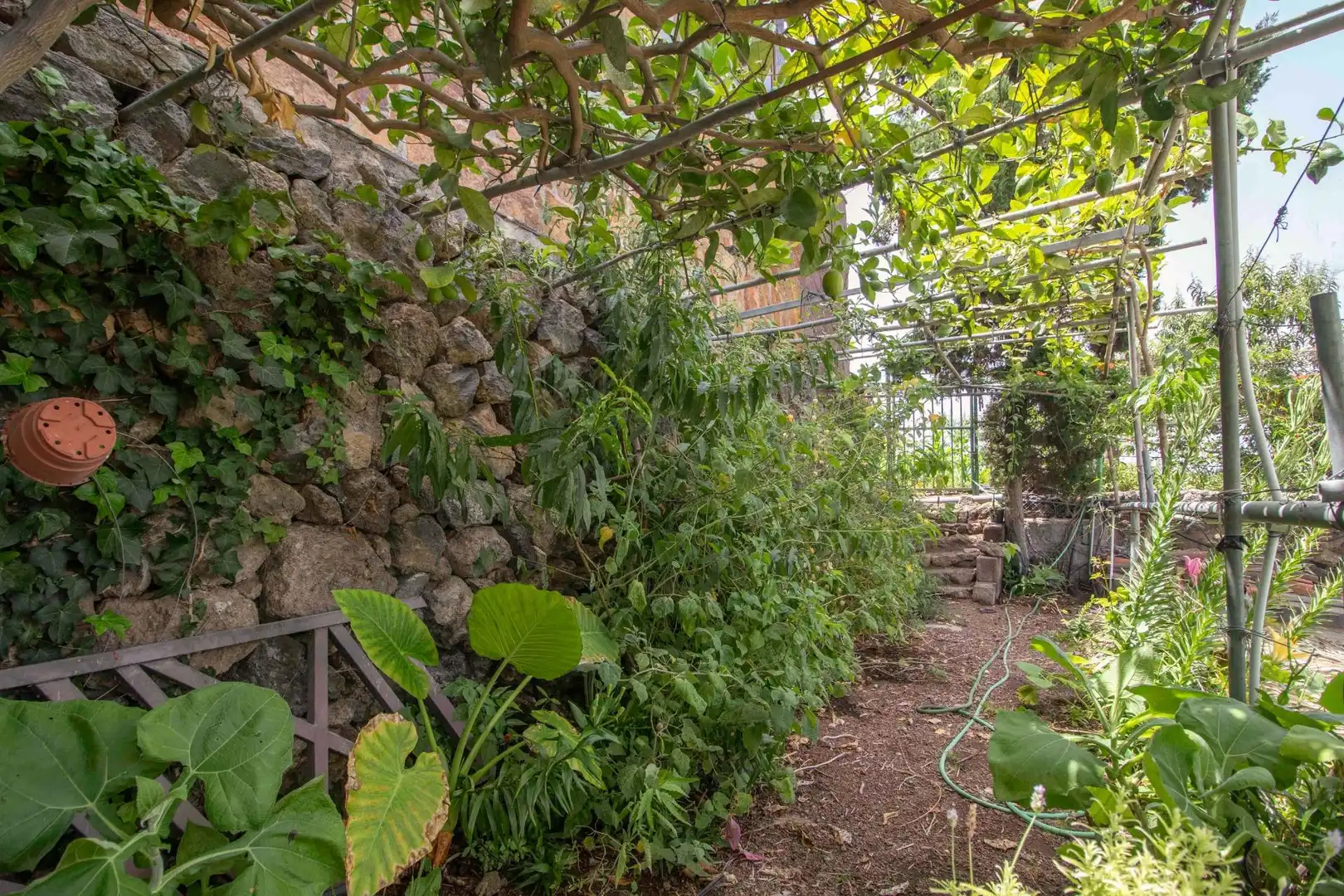 Jardí de Casa o xalet en venda en Icod de los Vinos amb Jardí privat, Terrassa i Traster
