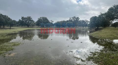Foto 5 de Finca rústica en venda a Calle Corchito, Majadas, Cáceres