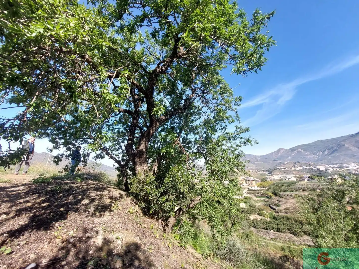 Casa rústica en venta en Molvízar, imagen 11