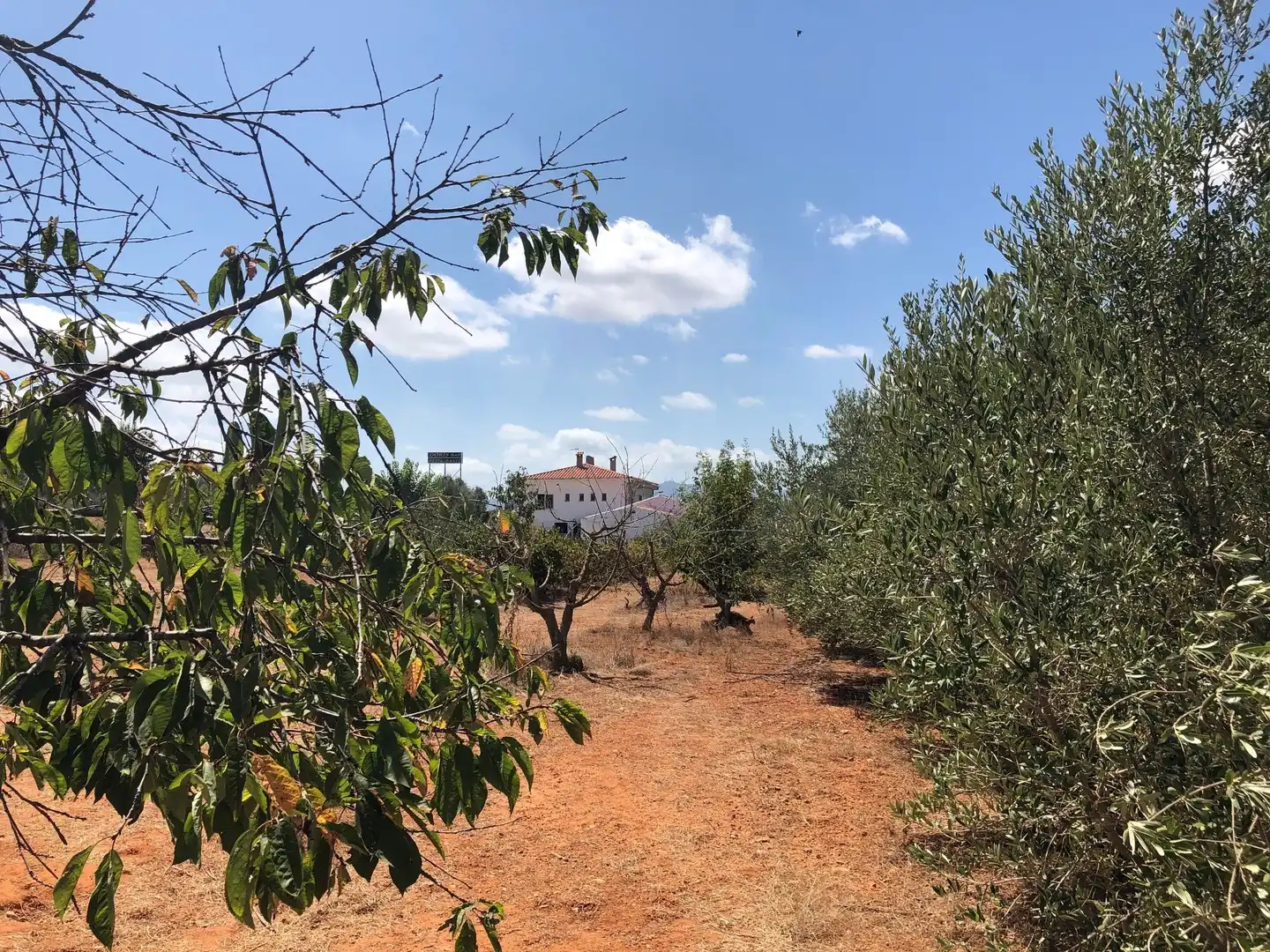 Casa o xalet en venda en Cabanes amb Calefacció i Terrassa