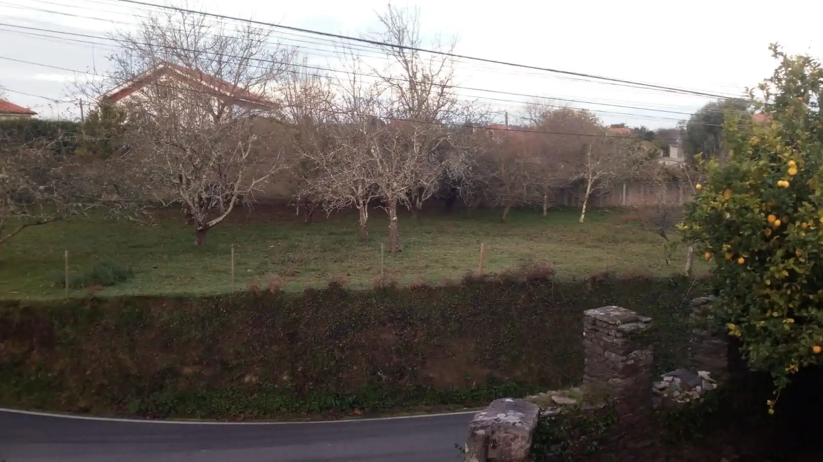 Terreni e lotti in vendita a Miño, imagen 2