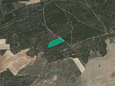 Terreny rústic en venda a Paraje Aceras