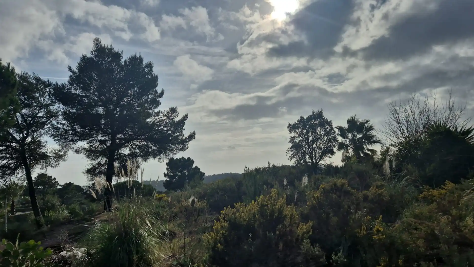 Terrenos y solares en venta en Lloret Residencial - Montlloret, imagen 7