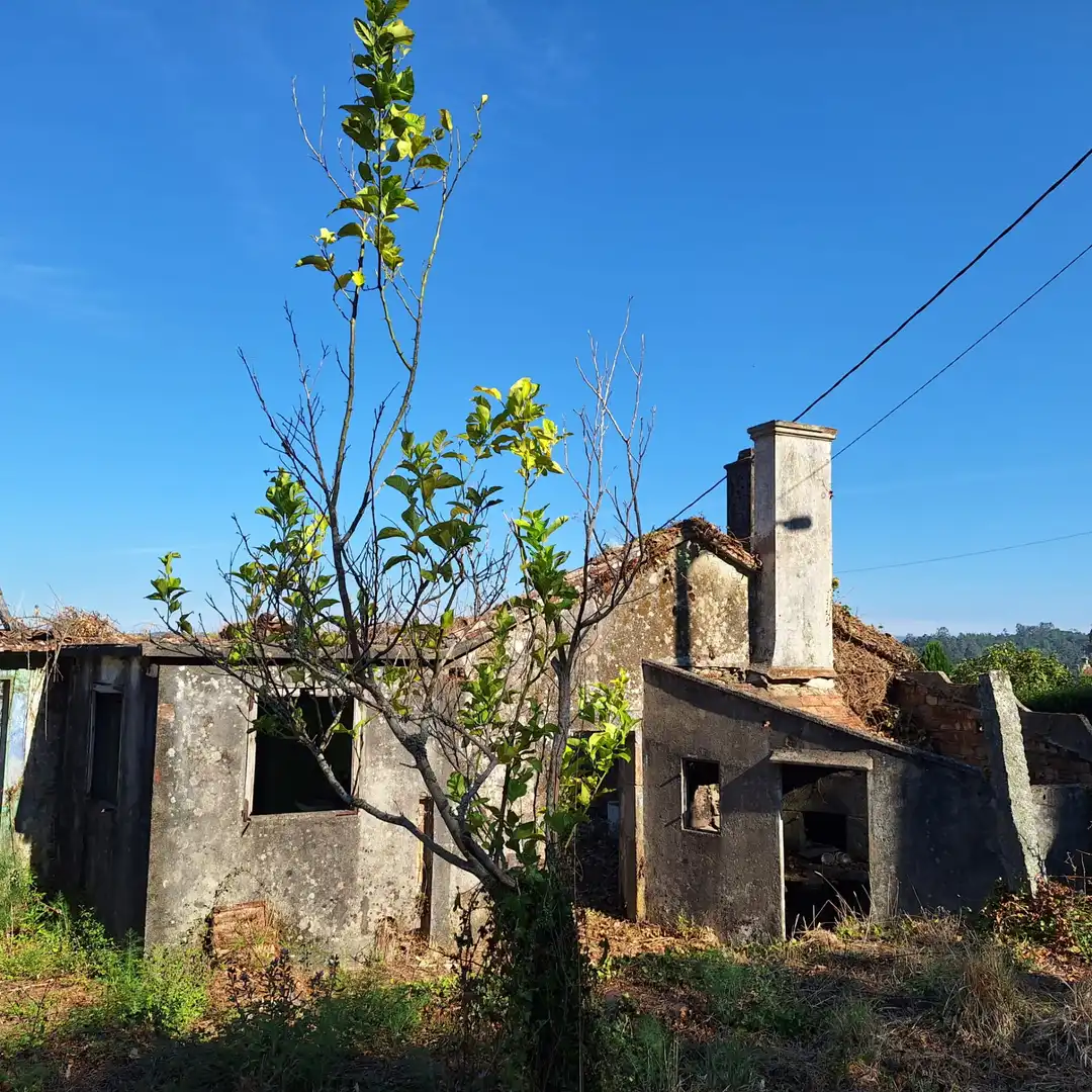 Casa in vendita a Barro, imagen 15