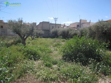 Terreno rustico in vendita a Pedanías Oeste
