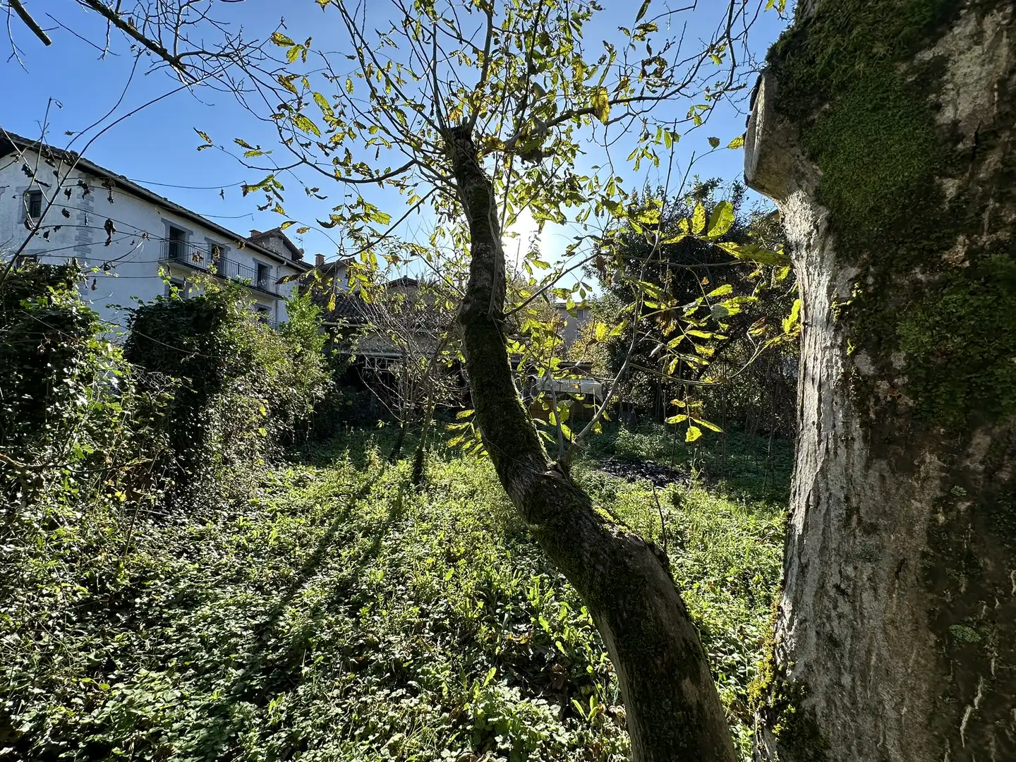 Finca rústica en venta en Zegama con Jardín privado