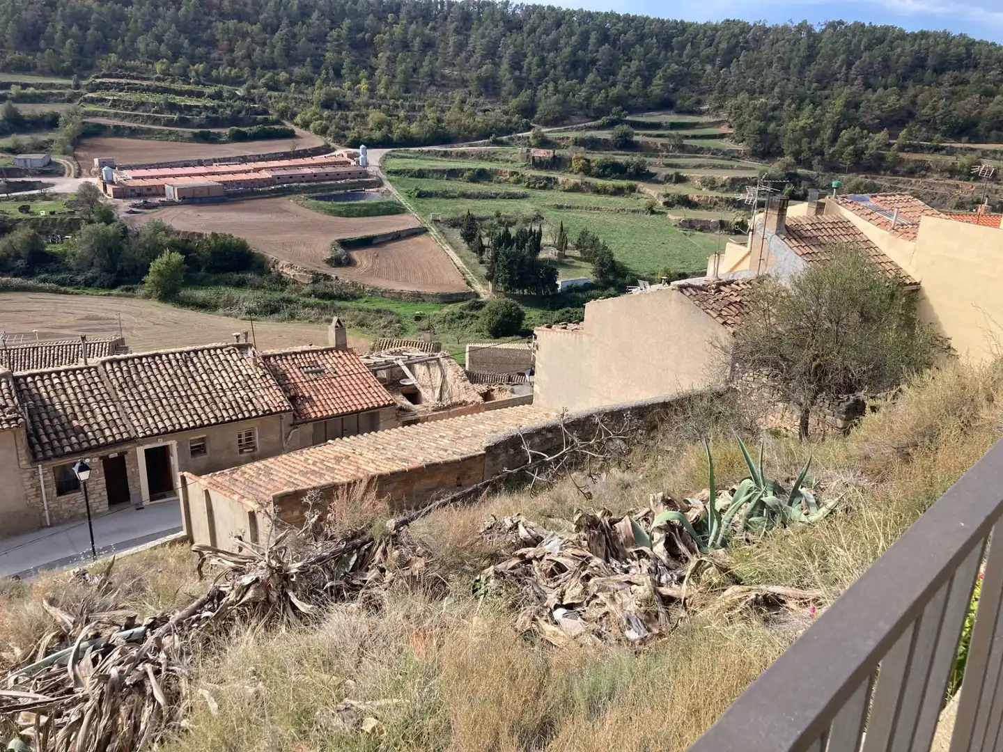 Country homes for sale in Els Omells de na Gaia