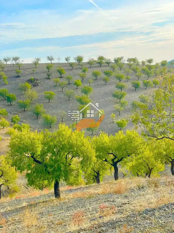 Maison rustique à vendre à Vélez-Rubio, imagen 20