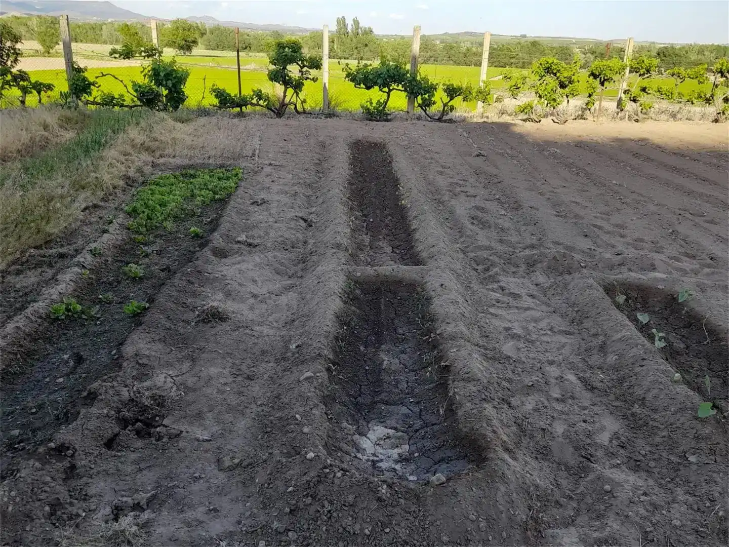 Finca rústica en venda en Os de Balaguer