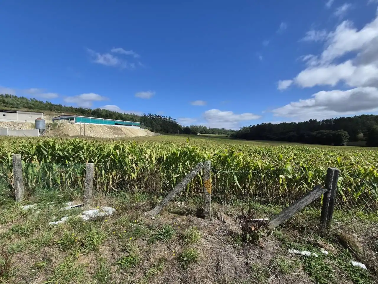 Country homes for sale in Rois  with Private garden, Furnished and Alarm