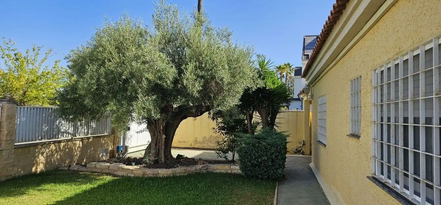 Vista exterior de Casa o xalet en venda en Orihuela amb Aire condicionat, Jardí privat i Terrassa