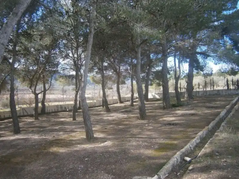Casa rustica con giardino in vendita a Monóvar  / Monòver, imagen 68