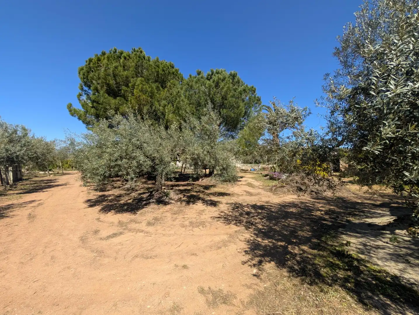 Grundstücke zum Verkauf in Ulldecona