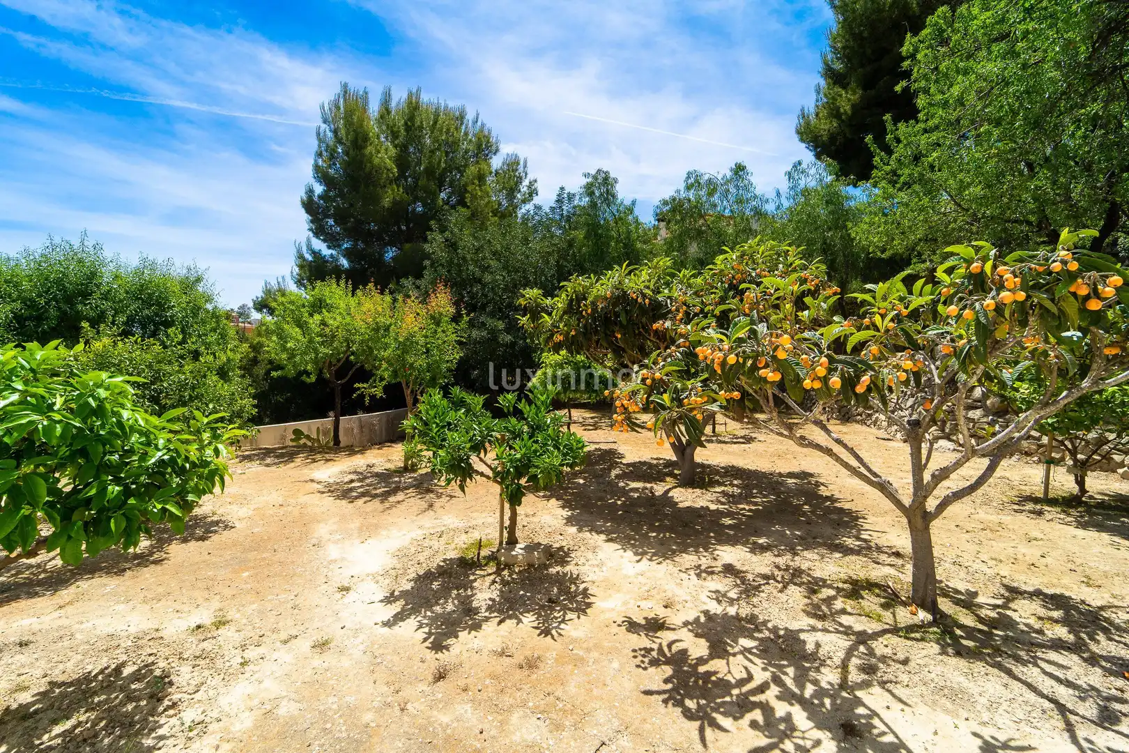 Detached house with terrace for sale in Gargasindi - Garduix - Colina del Sol, imagen 54