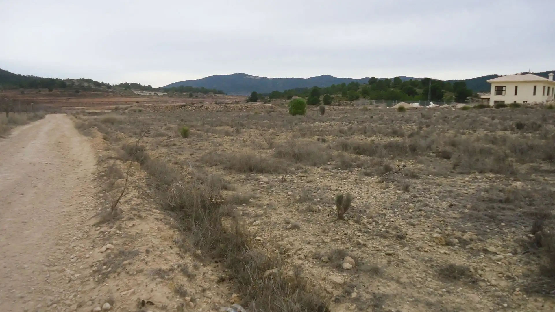 Terreno rústico en venta en El Pinós / Pinoso, imagen 2