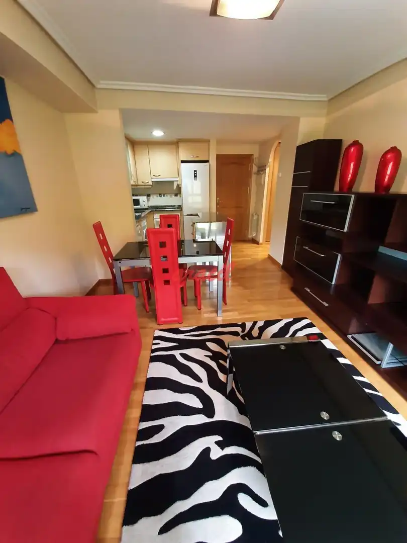 Sala de estar de Estudio de alquiler en Ourense Capital  con Calefacción y Amueblado