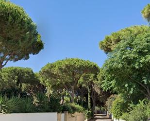 Jardí de Residencial en venda en Chiclana de la Frontera