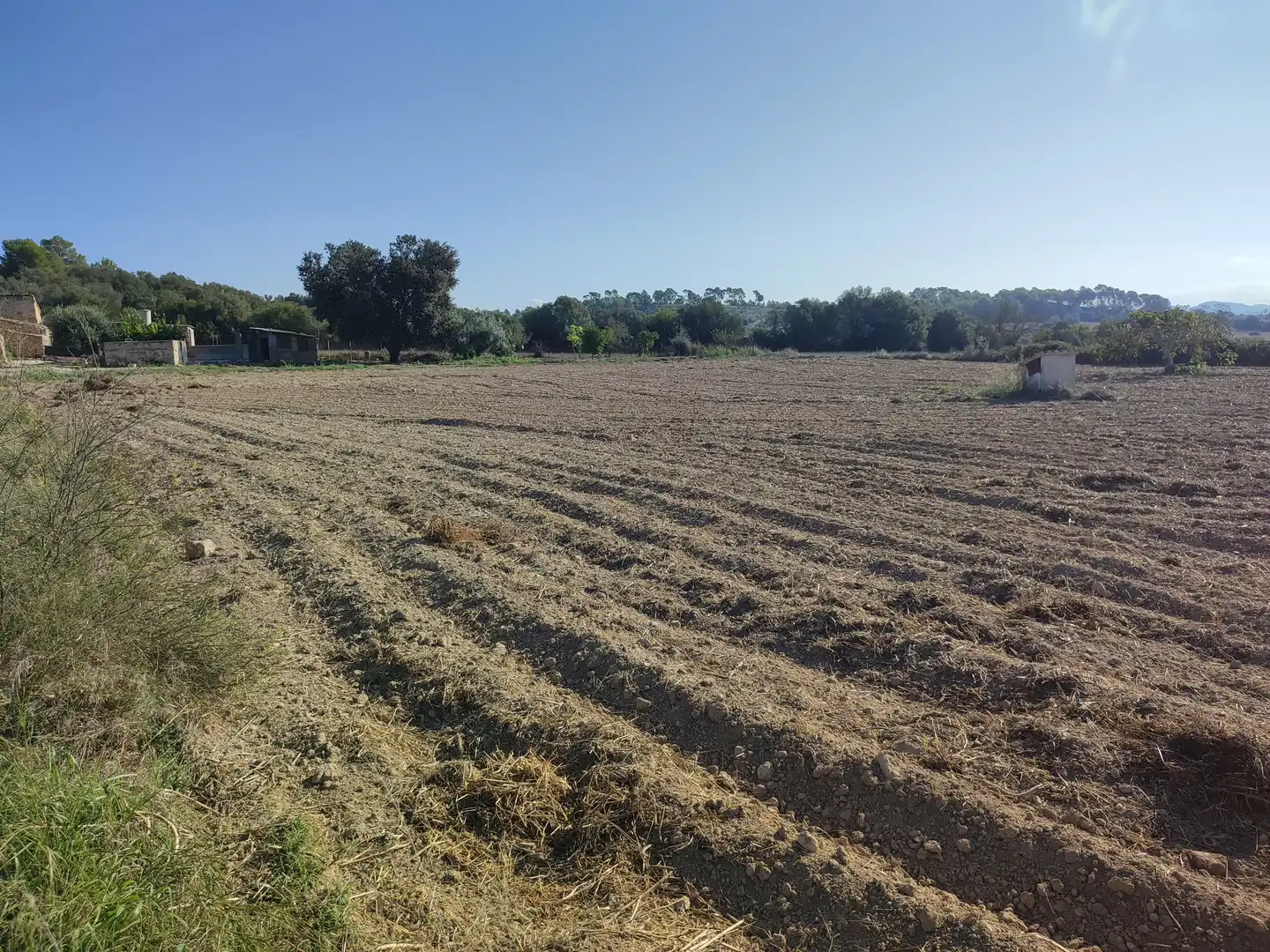 Finca rústica en venda a Sant Joan