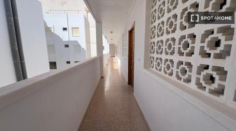 Photo 3 of Apartments for share in Gran Playa, Santa Pola
