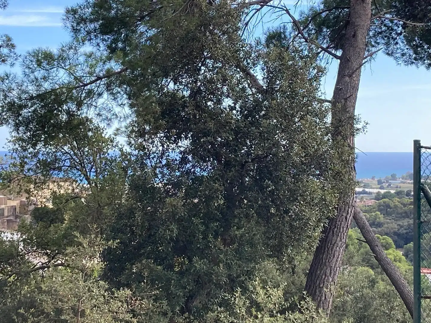 Residential land for sale in Carrer Carrer Lligabosc, imagen 2