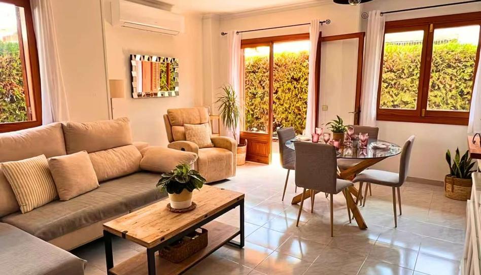 Photo 1 of Apartment to share in Port d'Alcúdia - Platja d'Alcúdia, Illes Balears