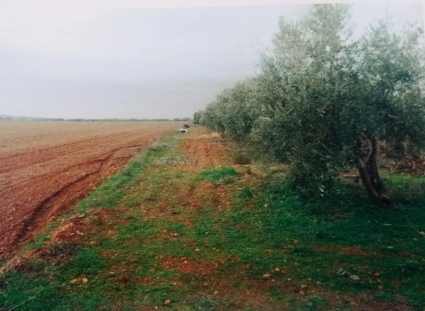 Grundstücke zum Verkauf in Miguelturra