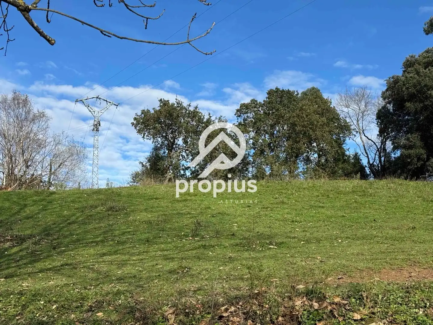 Land for sale in Llanes