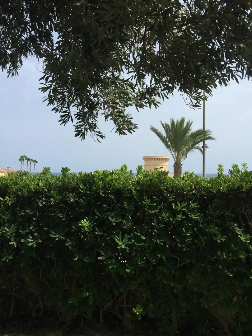 Garden of Flat for sale in El Campello  with Private garden, Terrace and Balcony