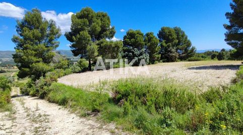 FINCA RUSTICA PARA REHABILITAR, imatge 3
