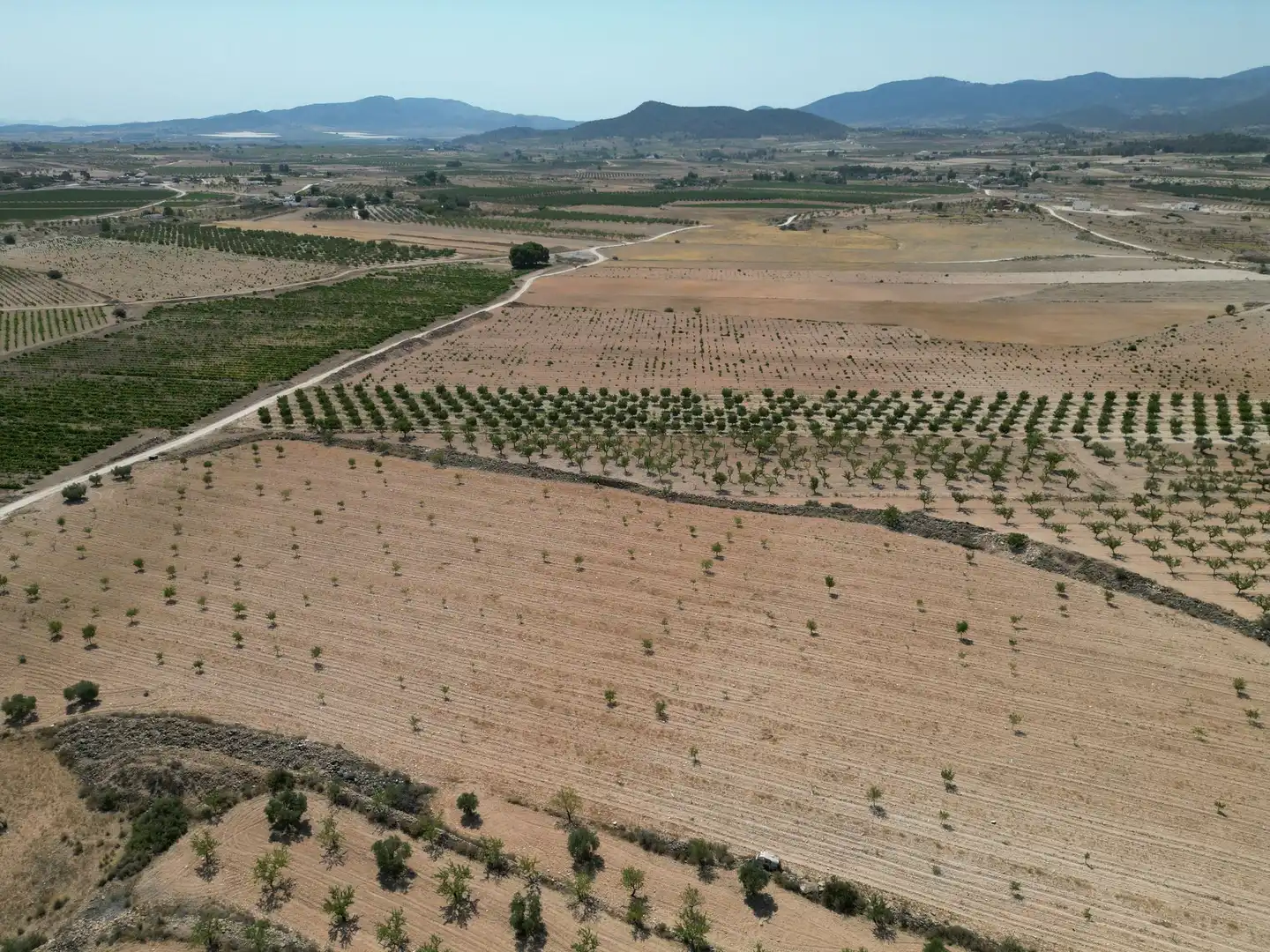 Terreno residencial en venta en El Pinós / Pinoso, imagen 11