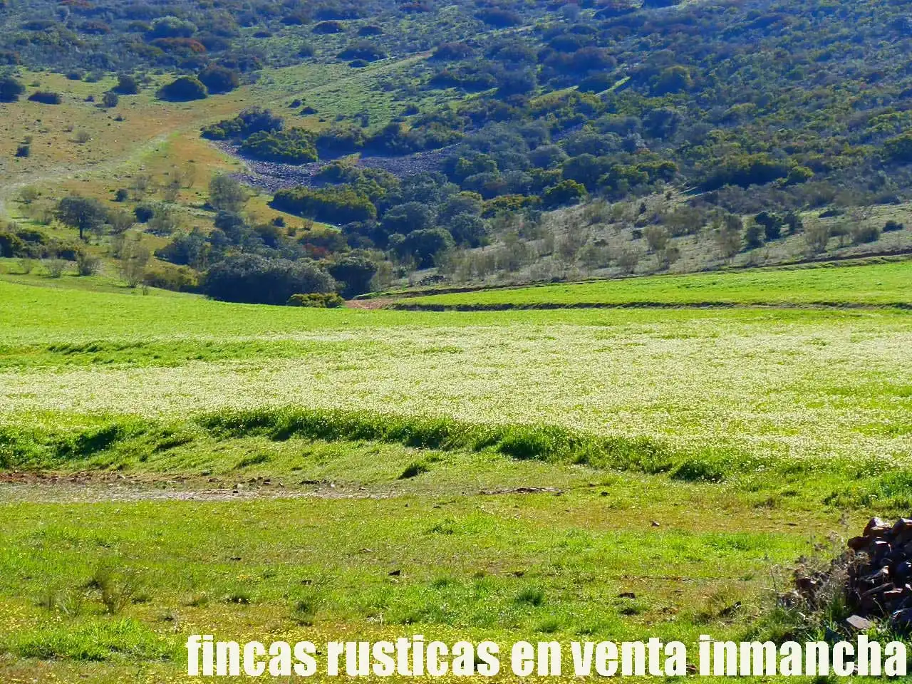 Terreno rustico in vendita a Aldea del Rey, imagen 4