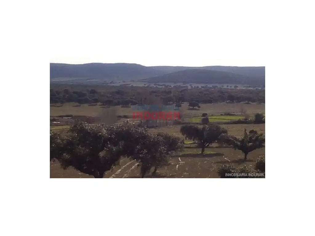 Casa o xalet en venda en Ciudad Real
