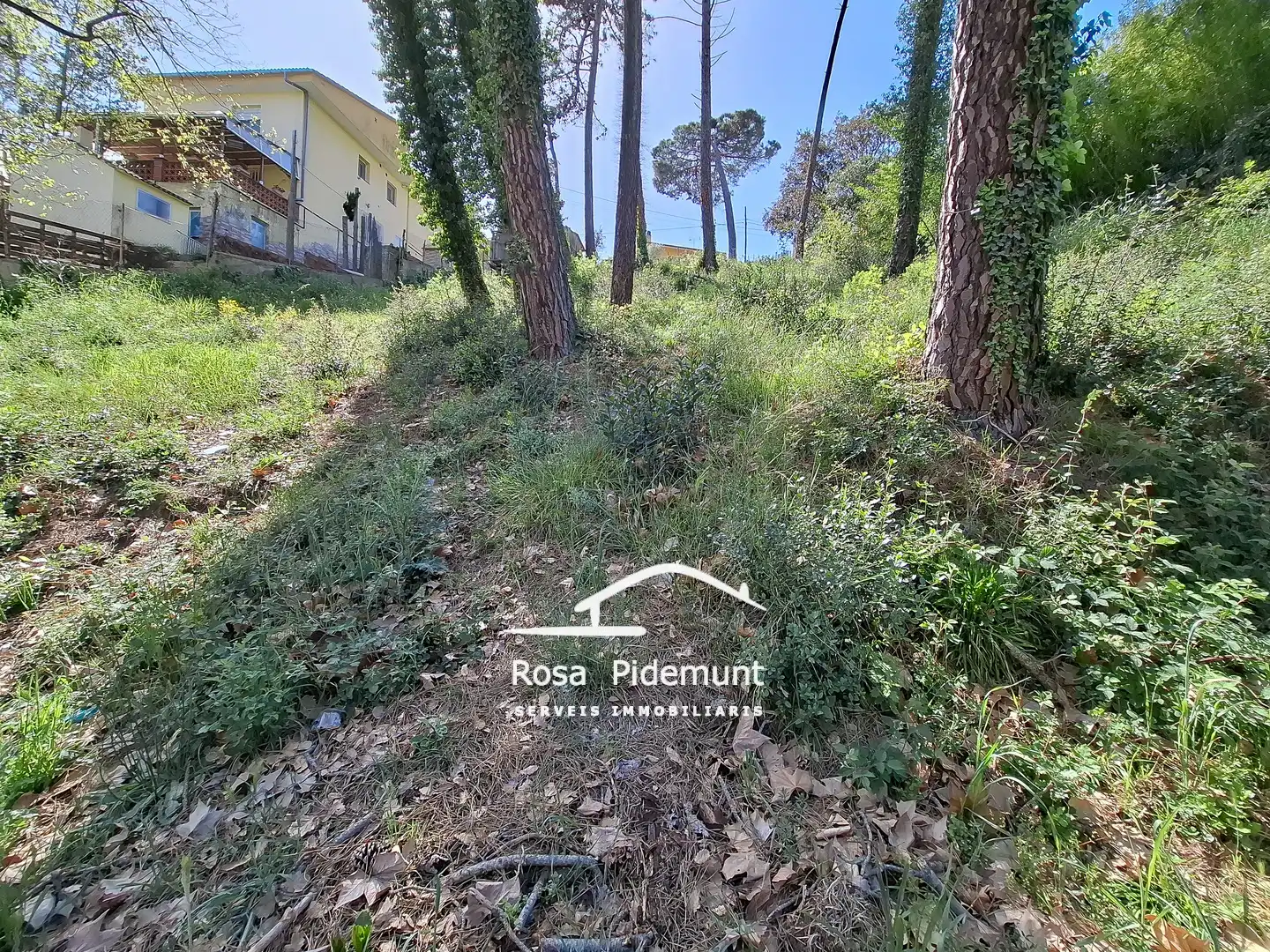 Wohnbaugrundstück zum Verkauf in Avinguda Arbres, imagen 3