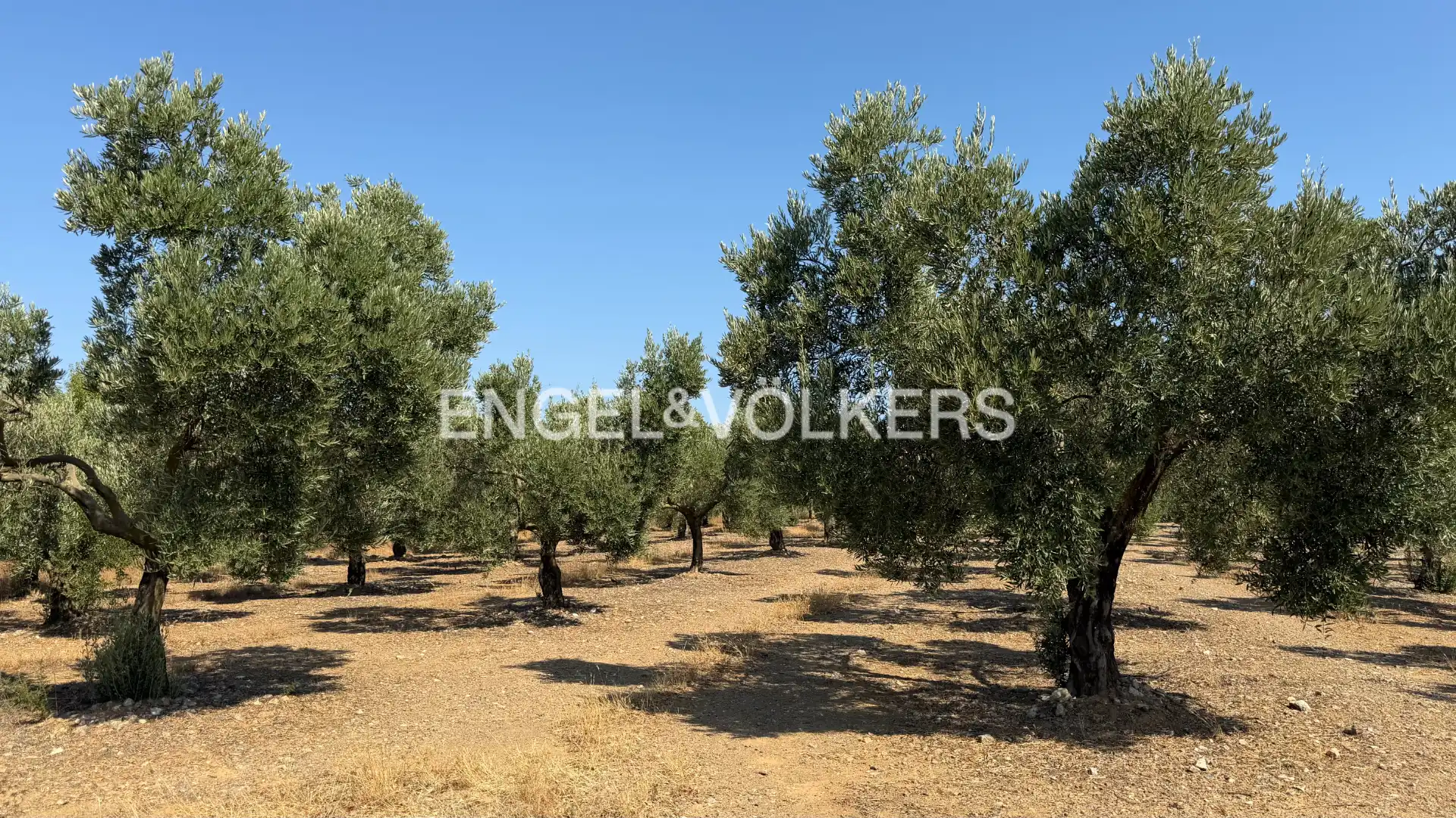 Land for sale in Pedret i Marzà