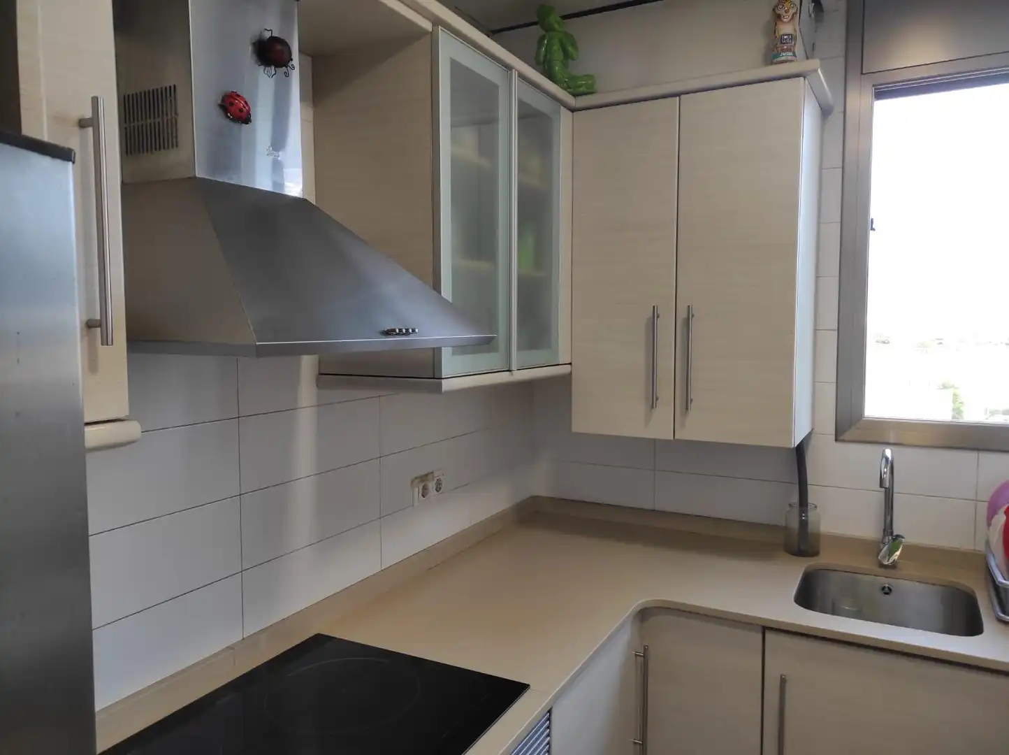 Duplex avec terrasse à vendre à Sant Vicenç Dels Horts, imagen 13