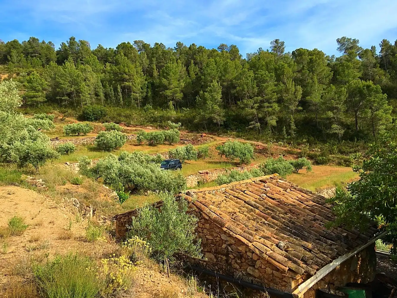 Garden of Country homes for sale in Benifallet
