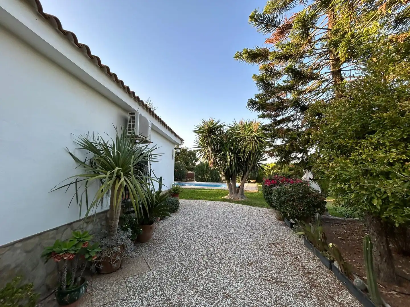 Jardín de Casa o chalet en venta en Carmona con Aire acondicionado, Terraza y Piscina