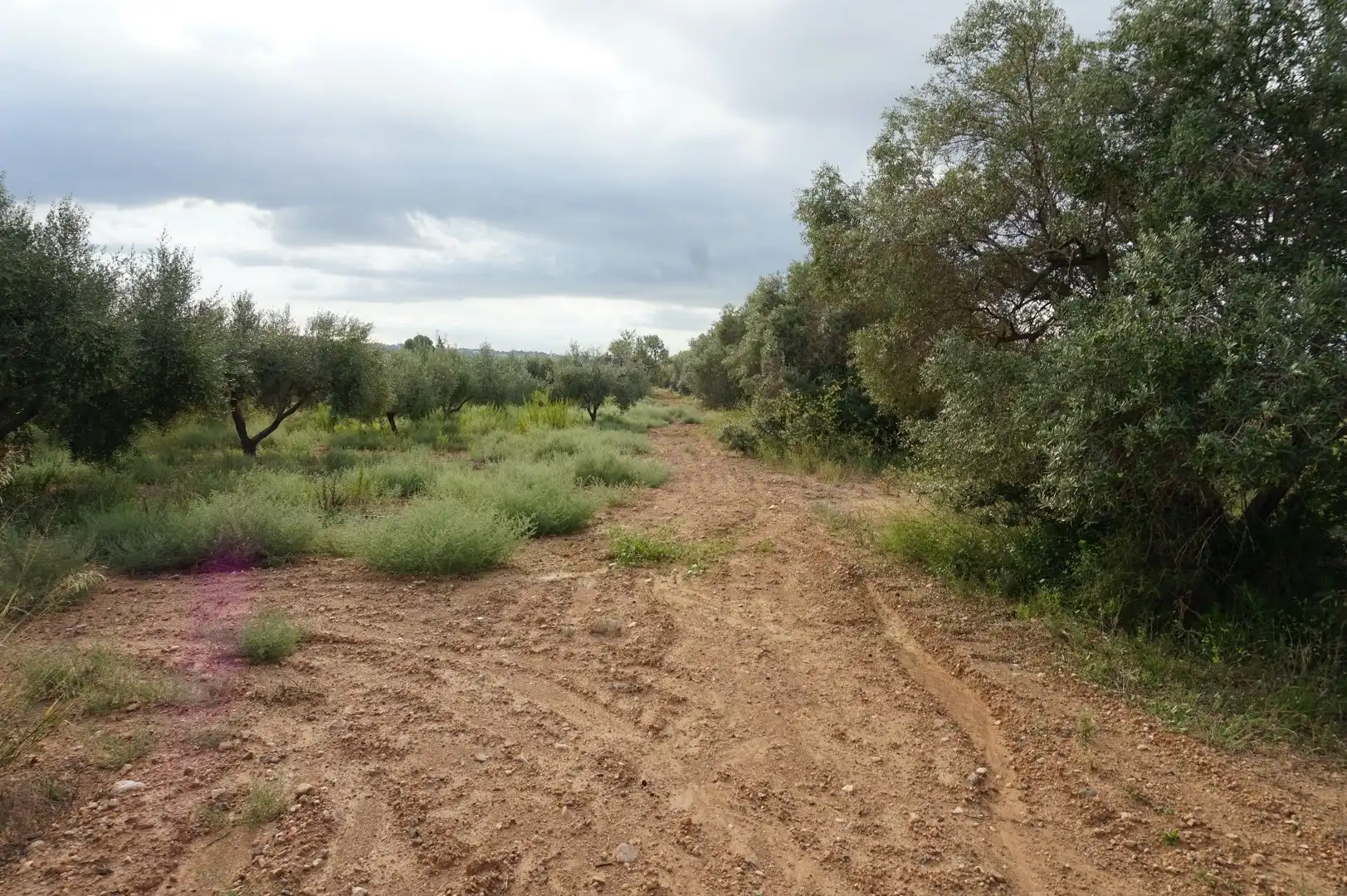Terreno rustico in vendita a La Creu de Salom, imagen 23