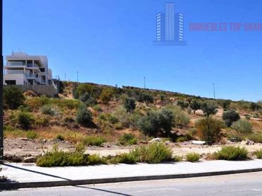 Terreni e lotti in vendita a CRA. CABRA, PAGO CHIRIBAILE, PARCELAS 99 Y 203 POLIGONO 19 |