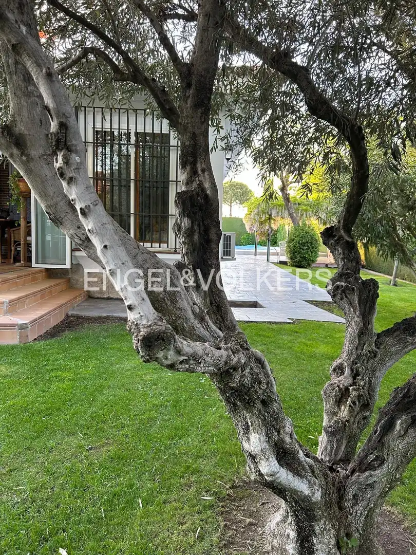 Jardí de Casa o xalet en venda en Boadilla del Monte amb Aire condicionat, Calefacció i Jardí privat