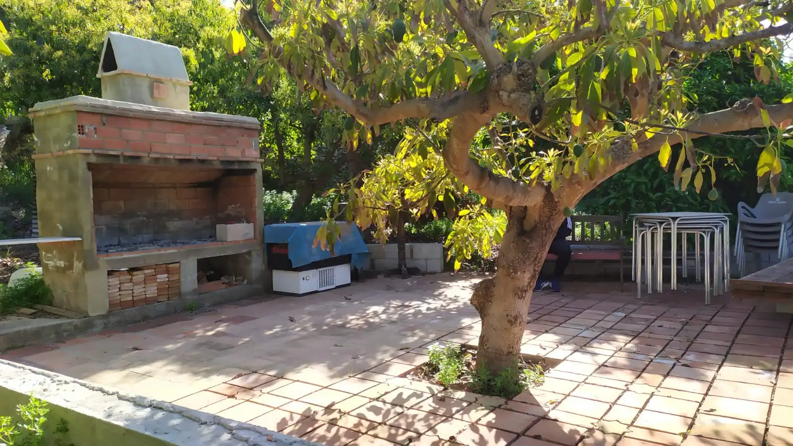 Rural land for sale in Paraje Almachares 15, imagen 7
