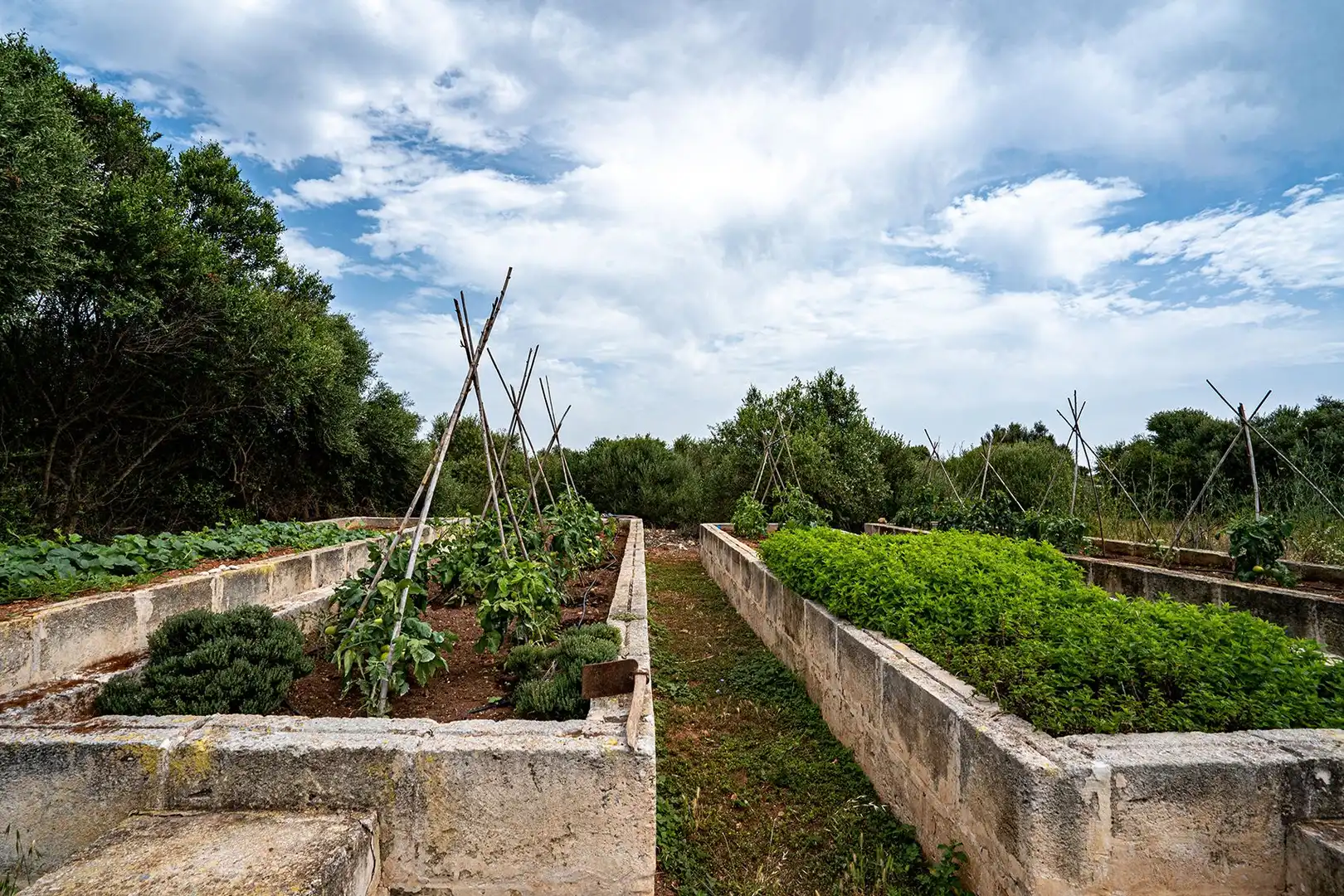 Garden of Country homes for sale in Maó - Mahón  with Private garden and Swimming Pool